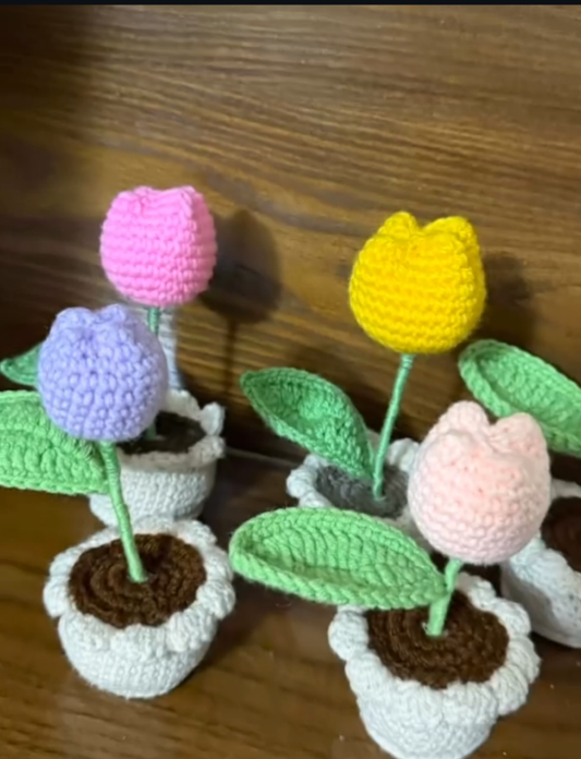 Flower pots