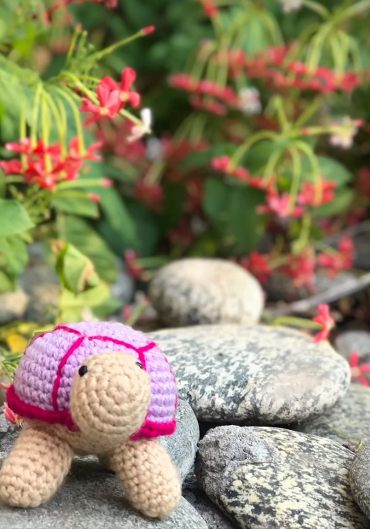 Crochet Turtle