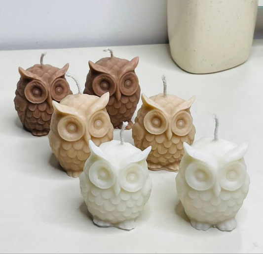Owl candel