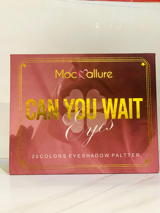 Can you wait eyeshadow palate