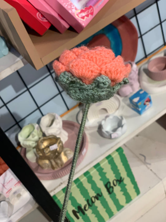 Crochet Flowers